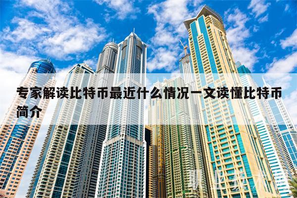 专家解读比特币最近什么情况一文读懂比特币简介-第1张图片-交易所